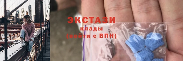 стаф Вязьма