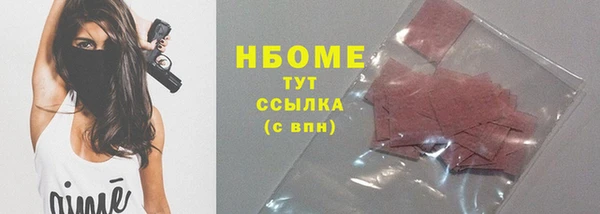 стаф Вязьма