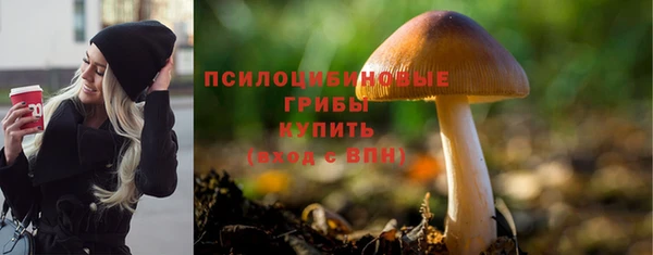 стаф Вязьма