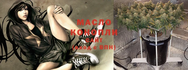 стаф Вязьма