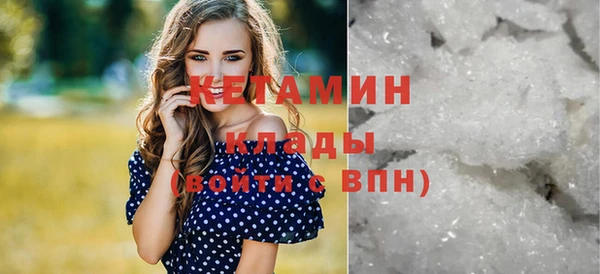 стаф Вязьма
