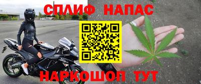 амф Гусев