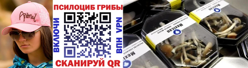 Псилоцибиновые грибы GOLDEN TEACHER где купить Дзержинский
