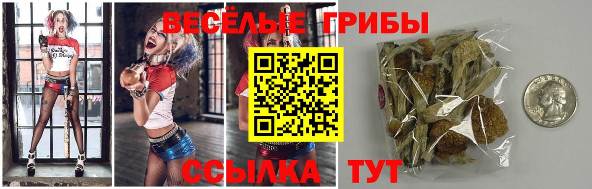 Галлюциногенные грибы ЛСД Дзержинский