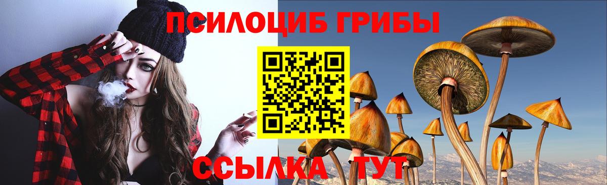 купить наркотик  Вход с VPN  Дзержинский  Псилоцибиновые грибы Psilocybine cubensis 